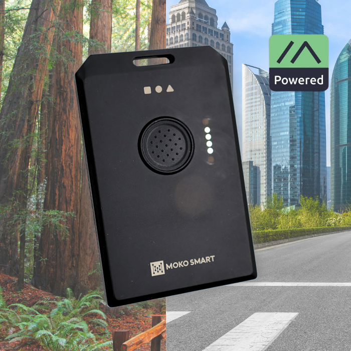 WisMesh Tag from RAKwireless & MOKOSmart - Meshtastic compatible card sized node 868/915 Mhz