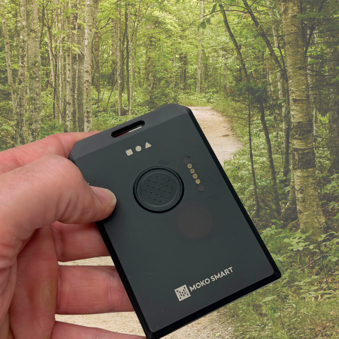 WisMesh Tag from RAKwireless & MOKOSmart - Meshtastic compatible card sized node 868/915 Mhz